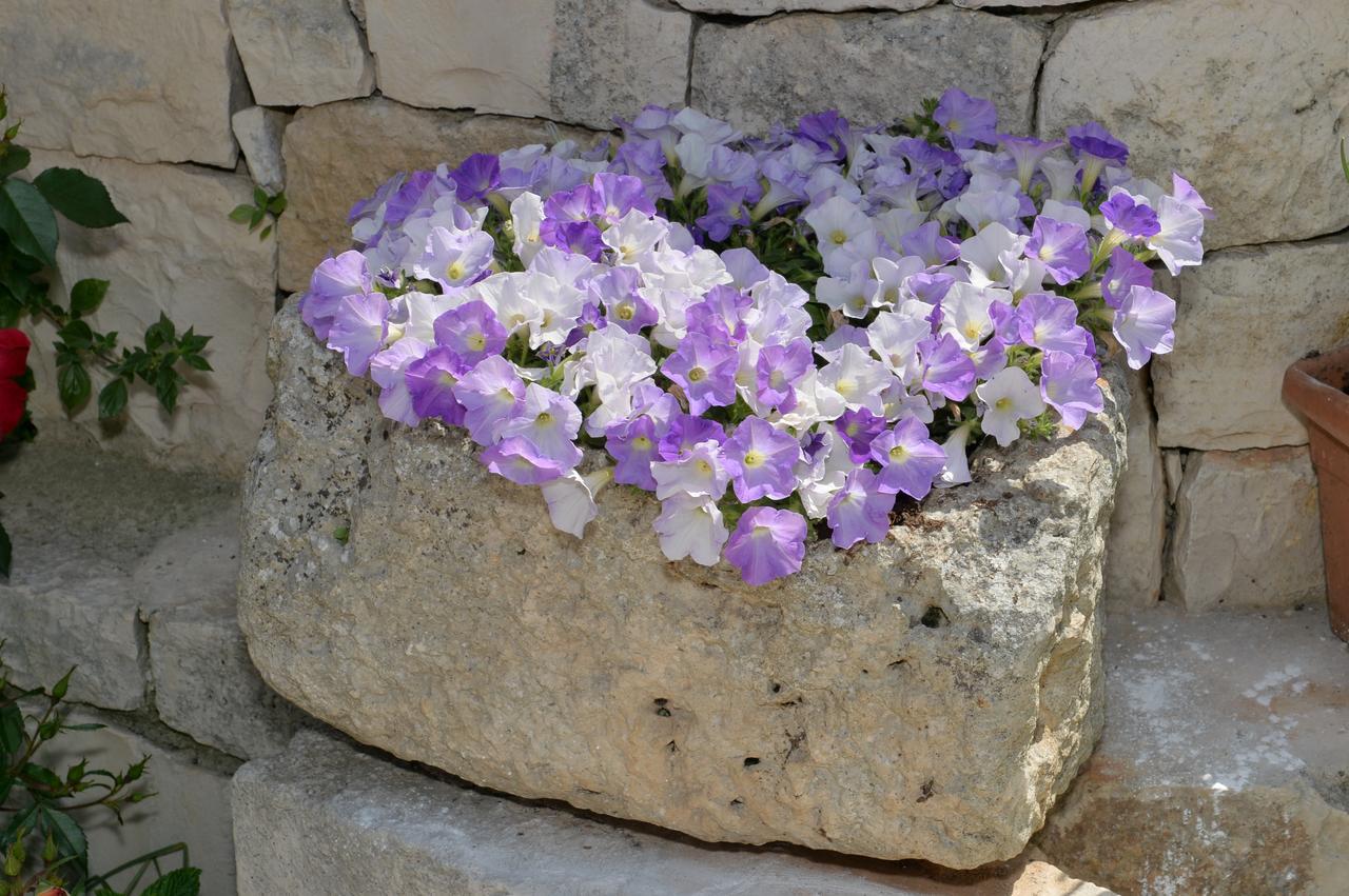 Astra Bed & Breakfast Alberobello Bagian luar foto